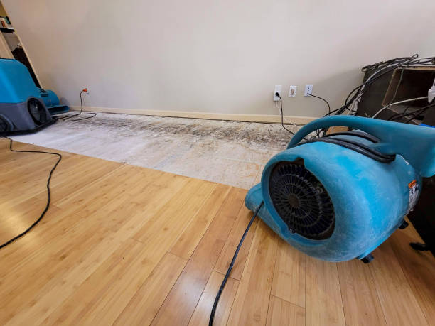 Professional Structural Drying technician working in Sargent, GA
